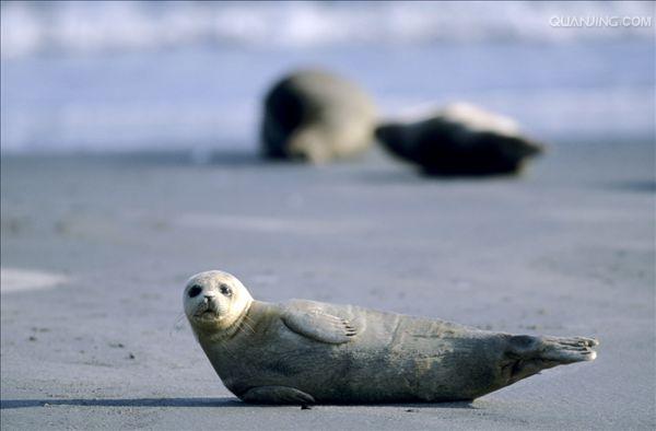 石勒苏益格迎战哈恩，实力悬殊