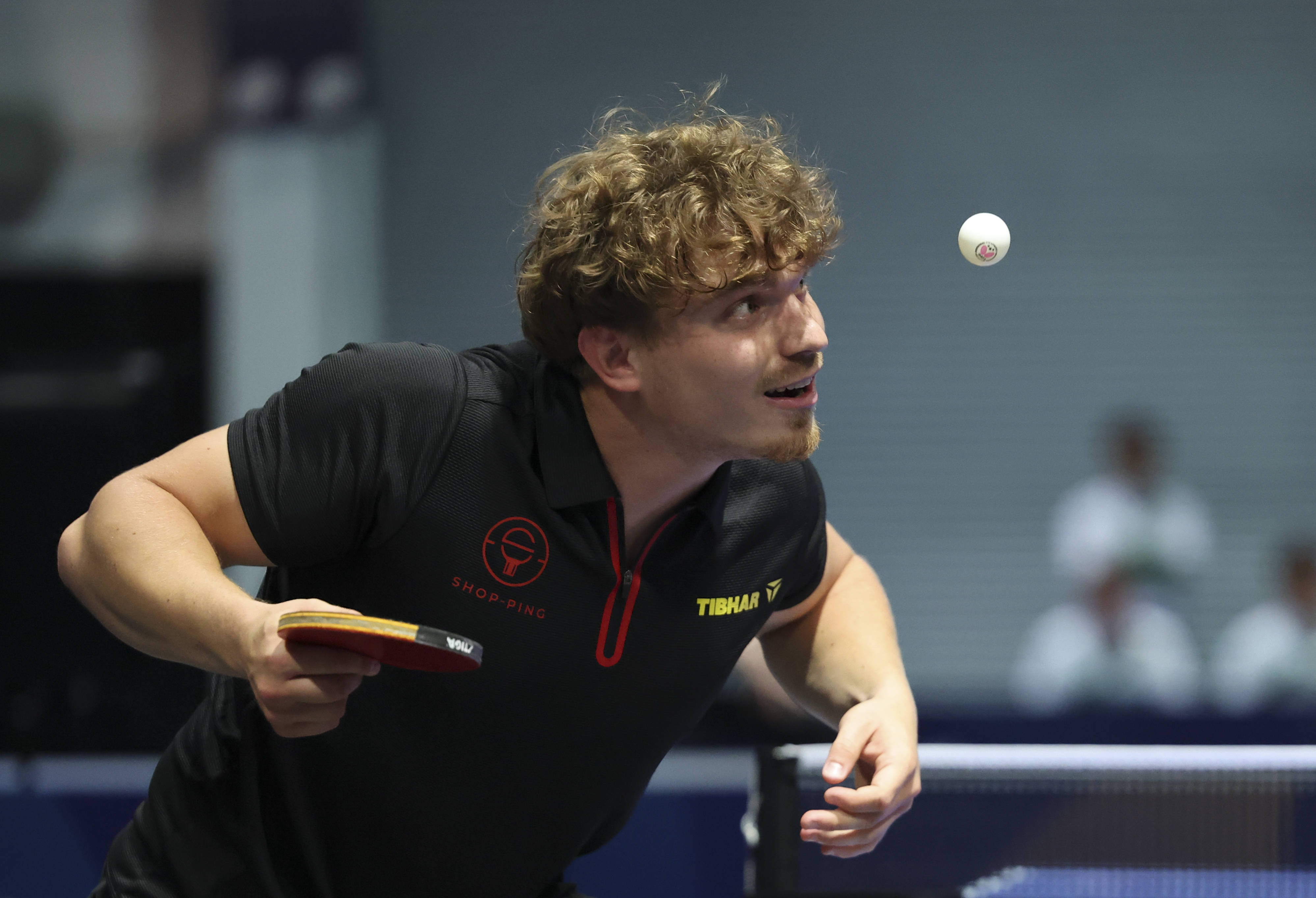 比利时乒乓球队绝地反击德国乒乓球队，波尔统治全场的简单介绍