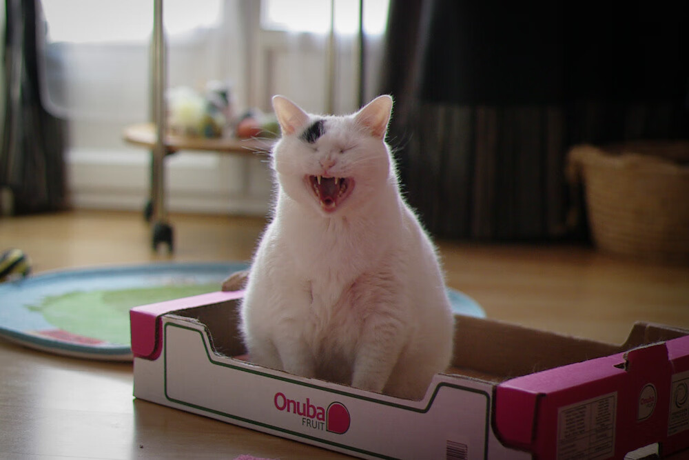 开云体育在线-冰岛风暴眼与巴塞罗那舞者，足球世界的一夜双城记