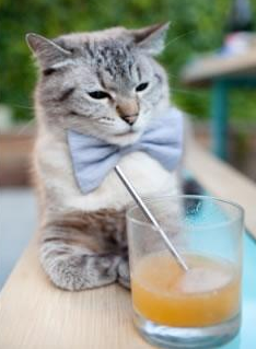 绝境逆转!布伦森末节21分导演活塞20分惊天翻盘