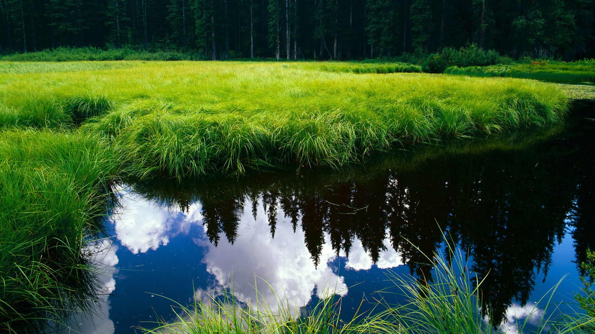 关键先生切特一剑封喉,鹈鹕逆境突围掀翻掘金