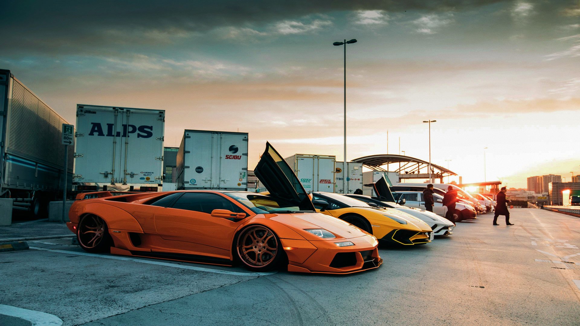 国王对阵独行侠,小贾伦赛后评分拉满,青春风暴席卷联盟