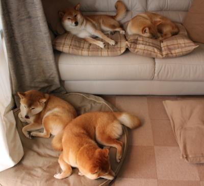 塞维利亚登顶欧联杯,内马尔成关键先生