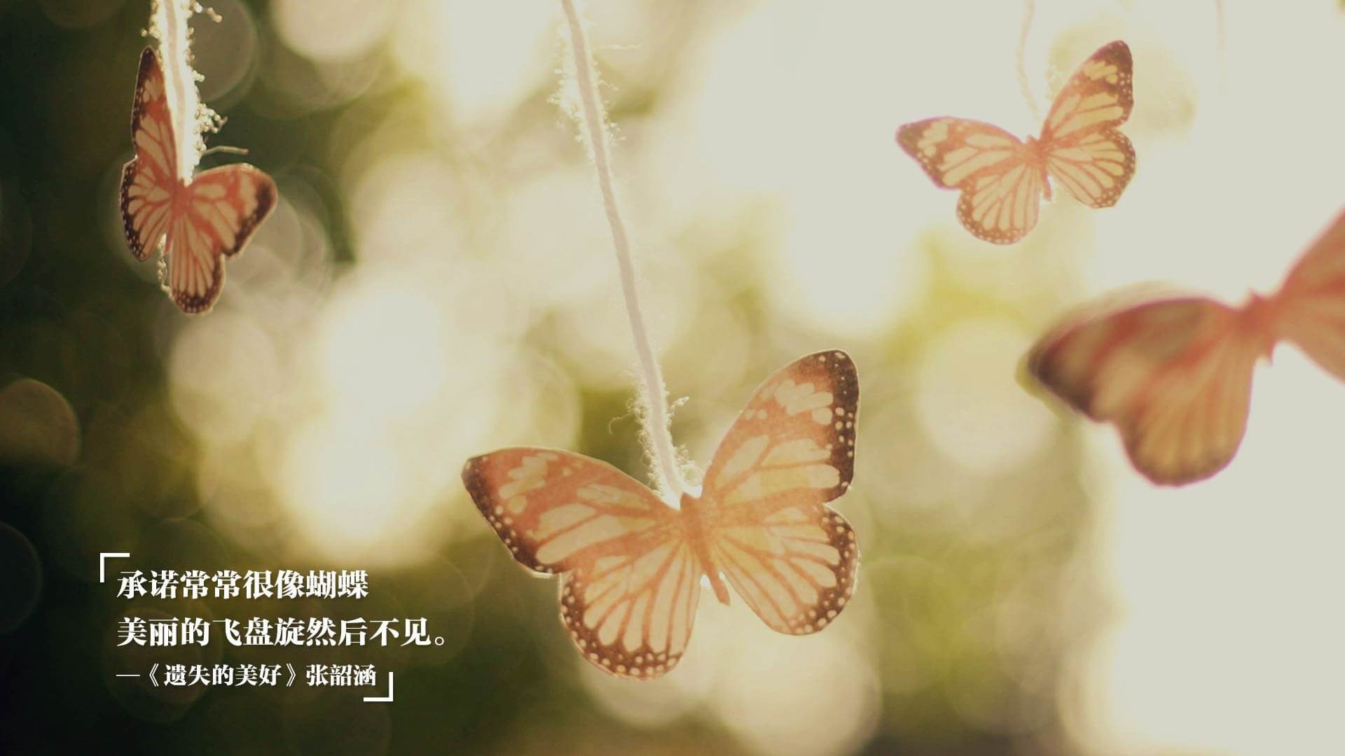 福克斯狂飙助浙江队险胜广厦队，硬仗展露冠军相