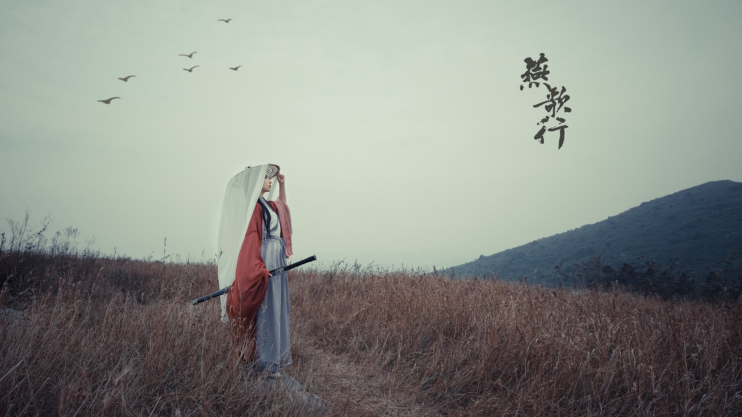 铁索与神迹，从浙江队的防守密码到东契奇的封神之战