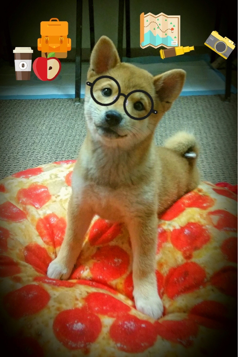 速度与荣耀，F1争冠夜迪马利亚关键进球定乾坤