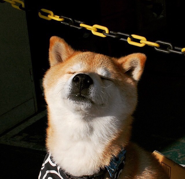 绿茵与棋局，当国家德比遇上美伊对决