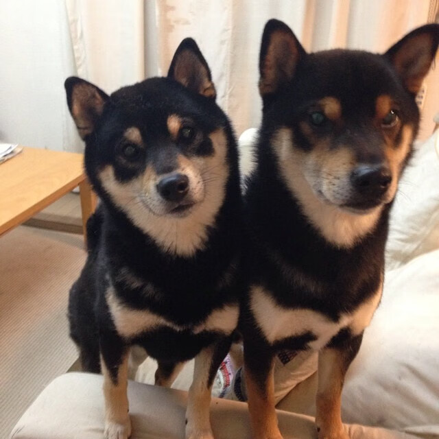 开云体育官方网站-萨拉赫关键进球定乾坤，皇家社会客场力克雷恩续写欧战传奇